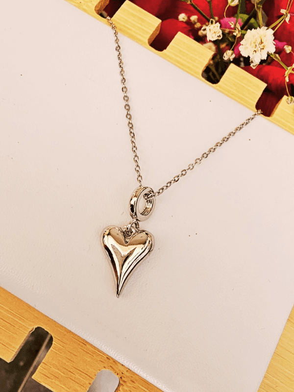 2025/02/20250219_142145_0000.png collar corazon charm plateado