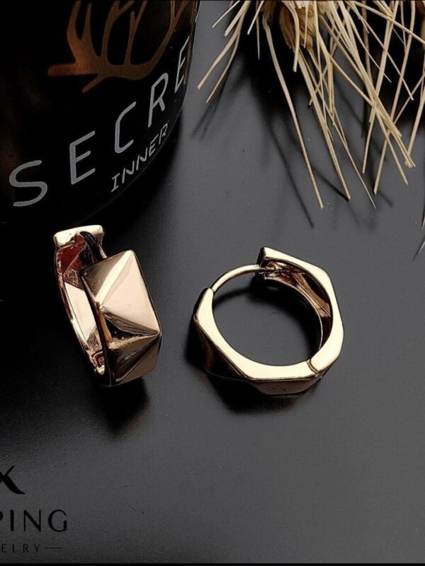 2025/02/IMG-20250129-WA0016.jpg argolla arete xuping jewerly rose