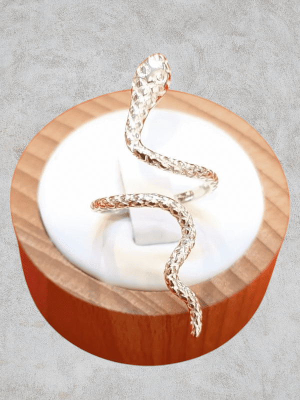 anillos serpiente acero plateado regulable