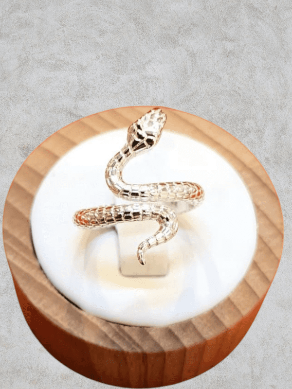 anillos serpiente acero plateado regulable