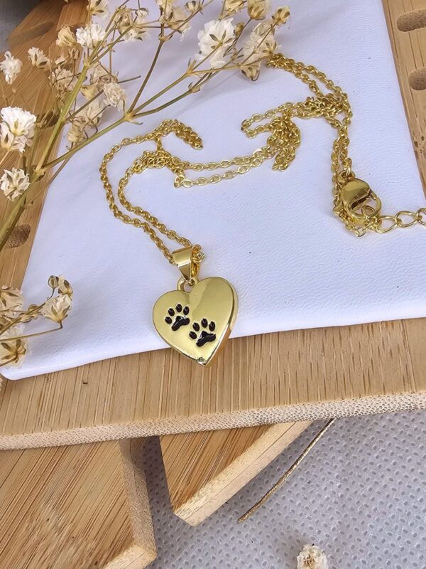 2025/06/IMG-20250610-WA0495-scaled.jpg collar huella 🐾 corazon dorado