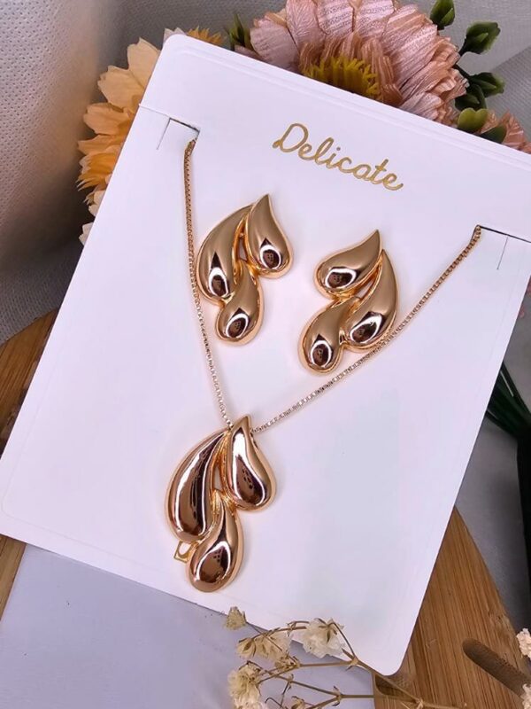 2025/07/IMG-20250708-WA0076.jpg set gotas rose NYH delicate acero