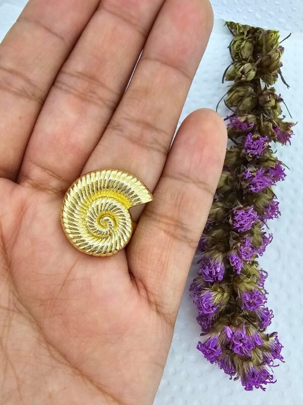 Anillo chunky caracol acero dorado regulable