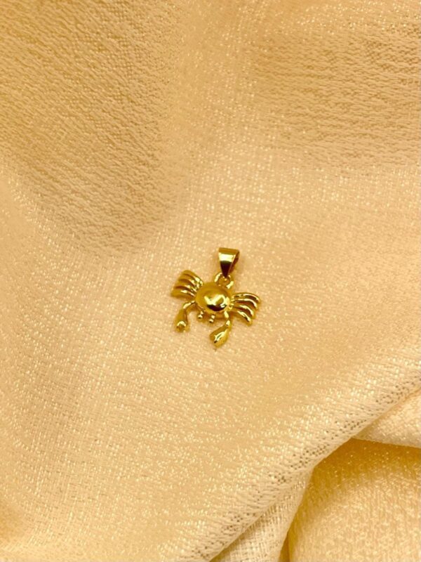 2025/08/IMG-20250819-WA0016.jpg Dije Cangrejo 🦀 dorado