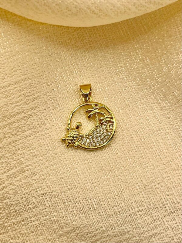 2025/08/IMG-20250819-WA0021.jpg Dije Isla tortuga 🐢 dorado