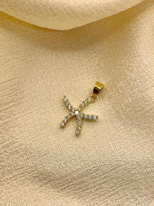 2025/08/IMG-20250819-WA0029.jpg Dije estrella de mar plateado