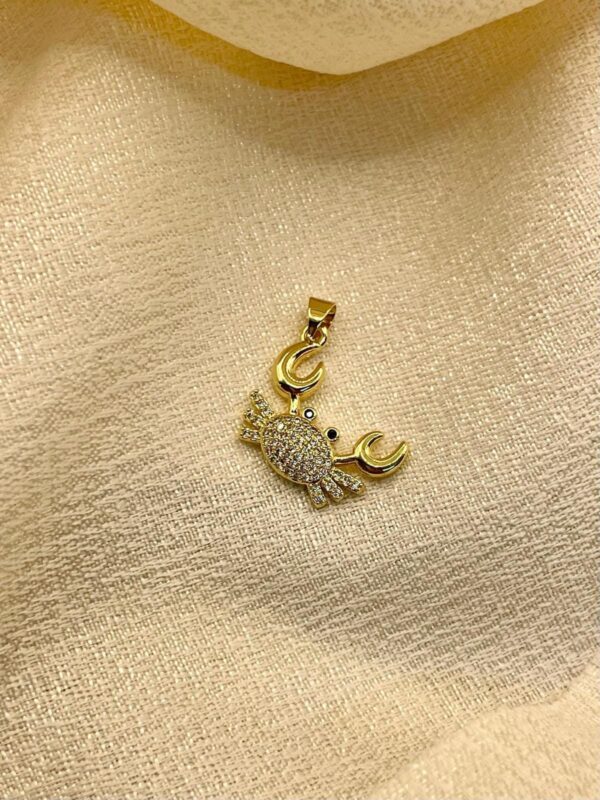 2025/08/IMG-20250819-WA0030.jpg Dije Cangrejo 🦀 plateado