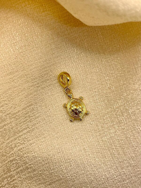 2025/08/IMG-20250819-WA0037.jpg Dije Charm marino tortuga concha dorado