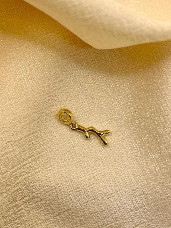 2025/08/IMG-20250819-WA0041.jpg Dije Charm marino coral dorado