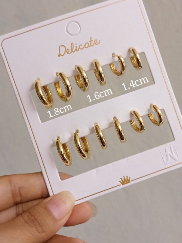 2025/10/IMG-20250129-WA0623-scaled.jpg blister de aretes x 6 pares NYH delicate dorado