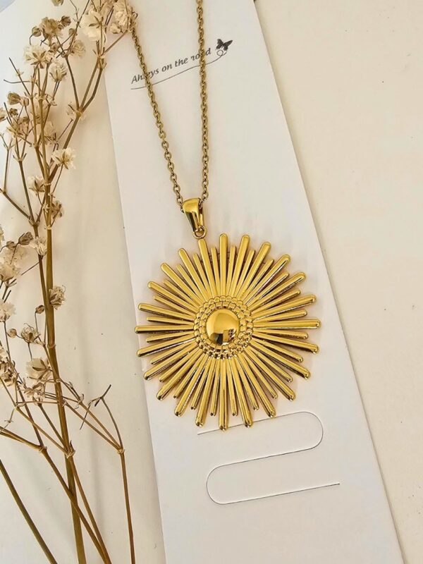 collar sol acero 316 (solo dije 316, canmdena es comercial)