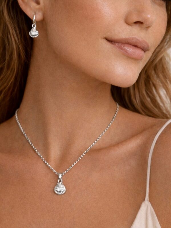 2026/02/1002120034.jpg set conchitas de mar, acero plateado, juegos marinos