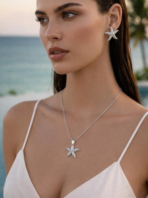 2026/02/1002120051.jpg set estrellas de mar, acero plateado, juegos marinos