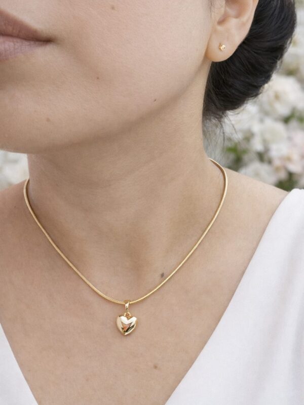 72112fb9-90bb-4480-a0e6-f364583e3e67 cadena 45cm cola de raton Delgada y Gruesa xuping jewerly rose