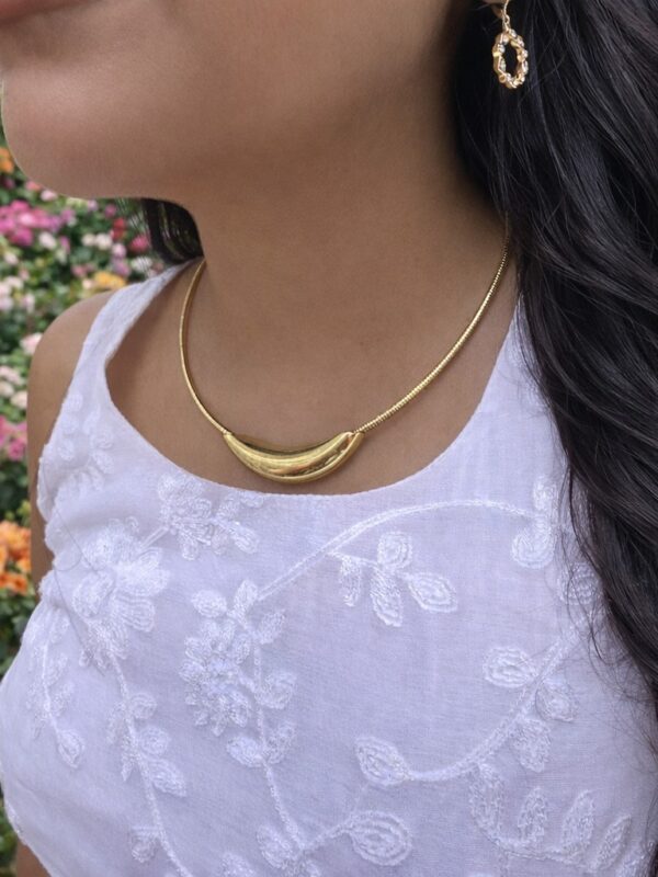 WhatsApp Image 2026-03-04 at 1.29.22 PM collar acero dorado